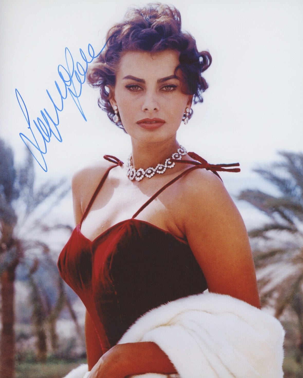 Sophia Loren Signed 8x10 Photo
