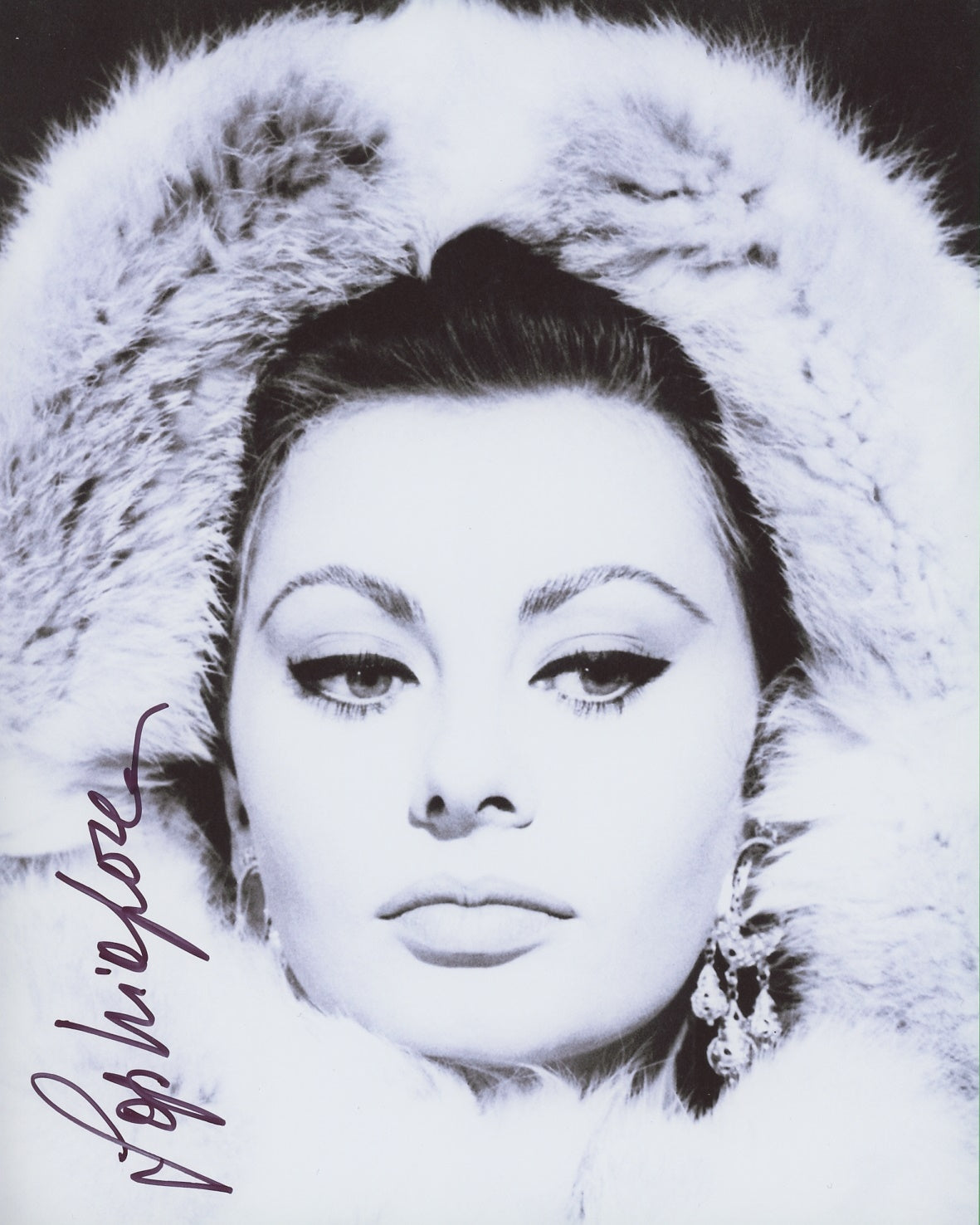 Sophia Loren Signed 8x10 Photo