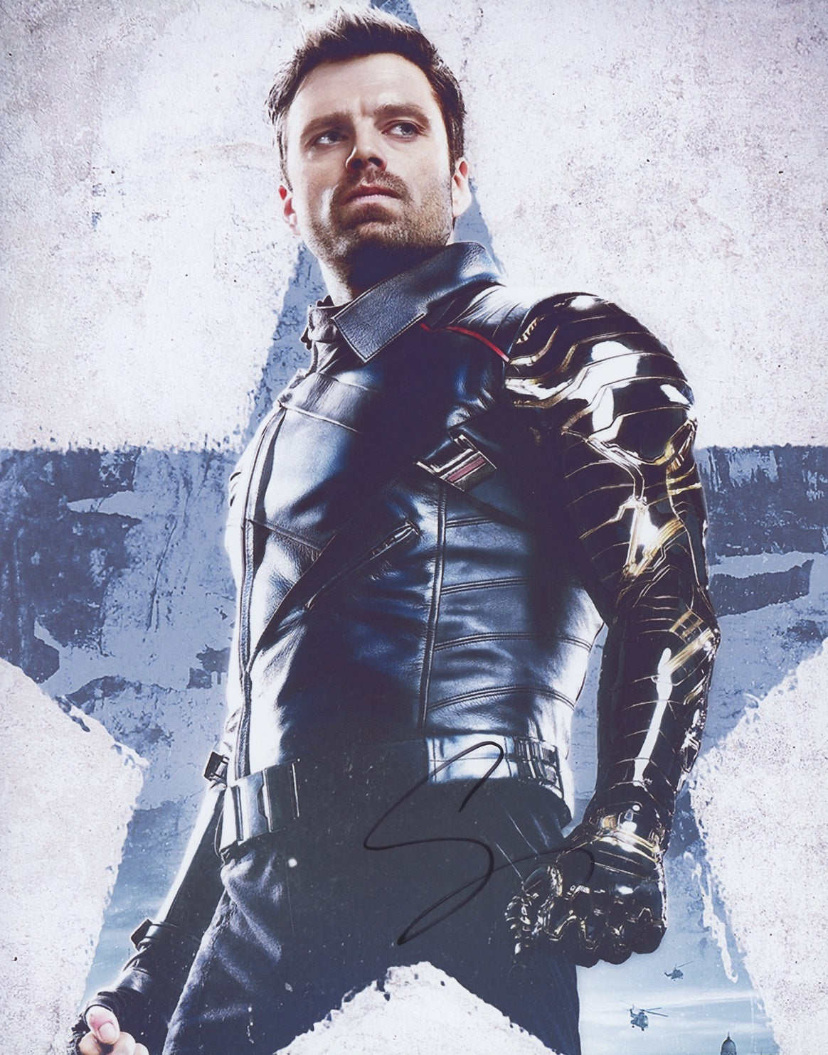 Sebastian Stan Signed 8x10 Photo