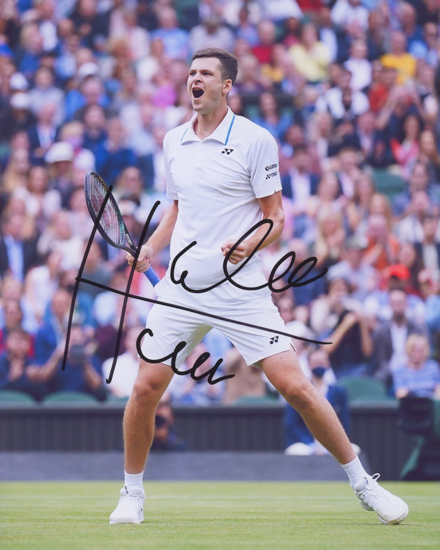 Hubert Hurkacz Signed 8x10 Photo