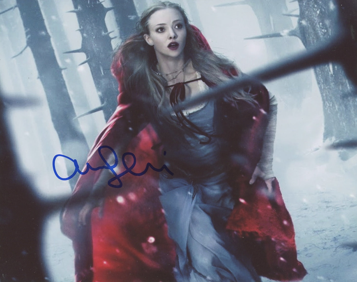Amanda Seyfried Signed 8x10 Photo