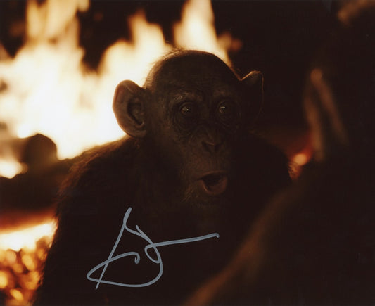 Steve Zahn Signed 8x10 Photo