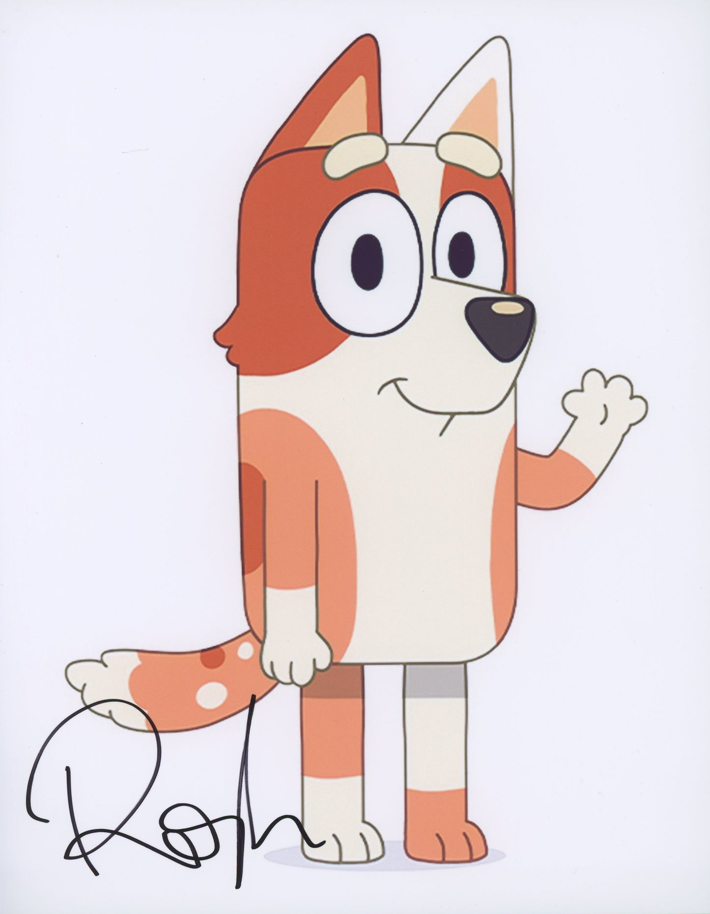 Rose Byrne Signed 8x10 Photo