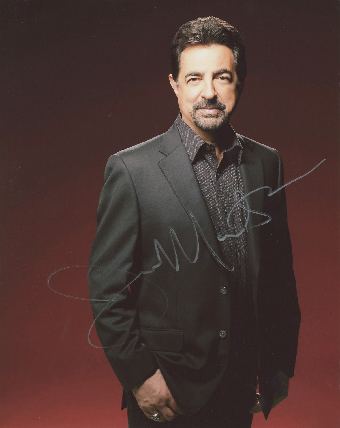 Joe Mantegna Signed 8x10 Photo – TopPix Autographs